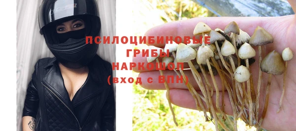 PSILOCYBIN Арсеньев
