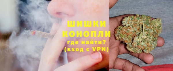 сатива Аркадак