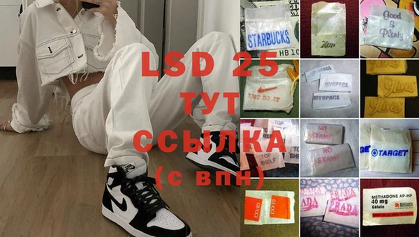 сатива Аркадак